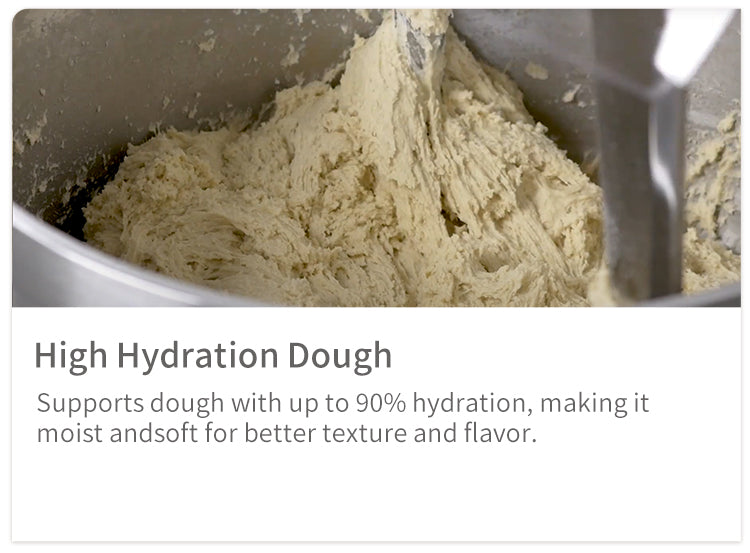 Golden Chef RMS20 high hydration dough